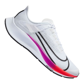 Chaussures de running Nike Air Zoom Pegasus 37 Flyease M CK8474-100