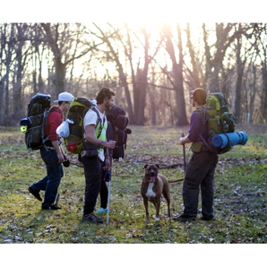 Trekking : quelles chaussures choisir ?