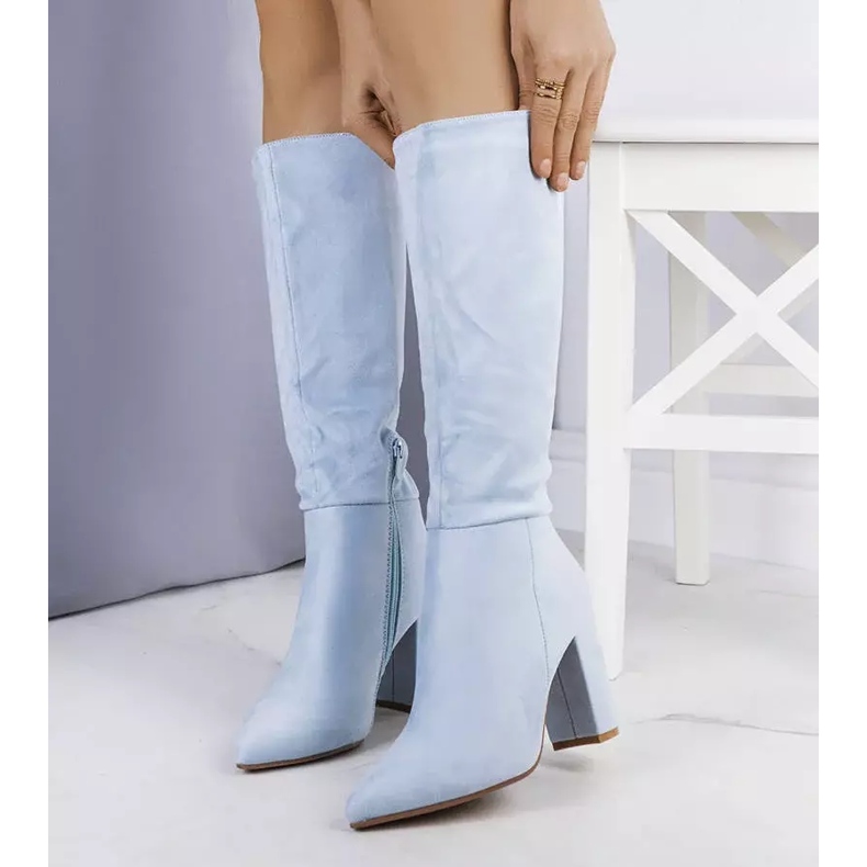 BM Bottes bleues isolées sur le poteau Narcis 1
