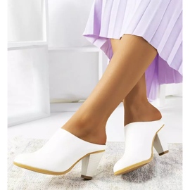 Chaussons blancs sur le poteau de Plotkin 2