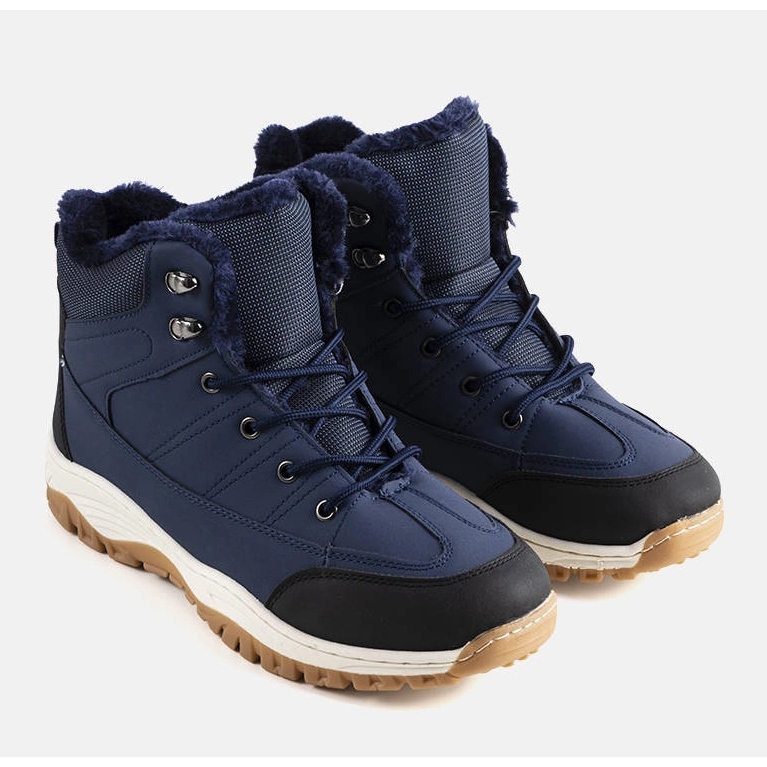 Bottes isolées bleu marine Violette 1