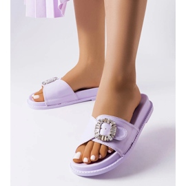 Curseurs violets ornés de zircons Griegsvei 1 Curseurs violets ornés de zircons Griegsvei 1