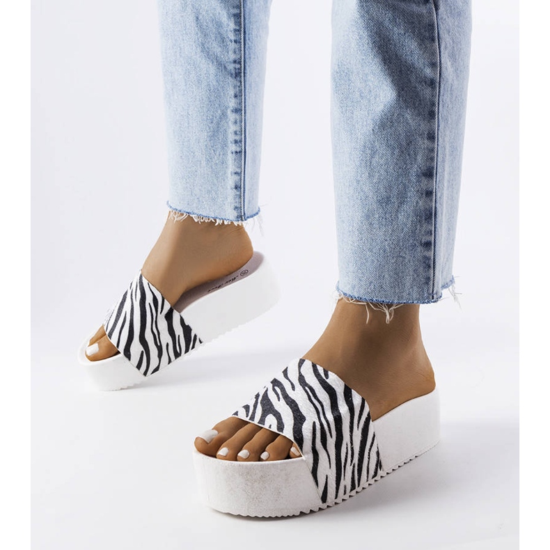 Diapositives AE35 Zebra blanche 1