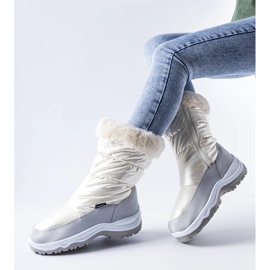 Bottes de neige isolées Tronzano gris perle blanche 1