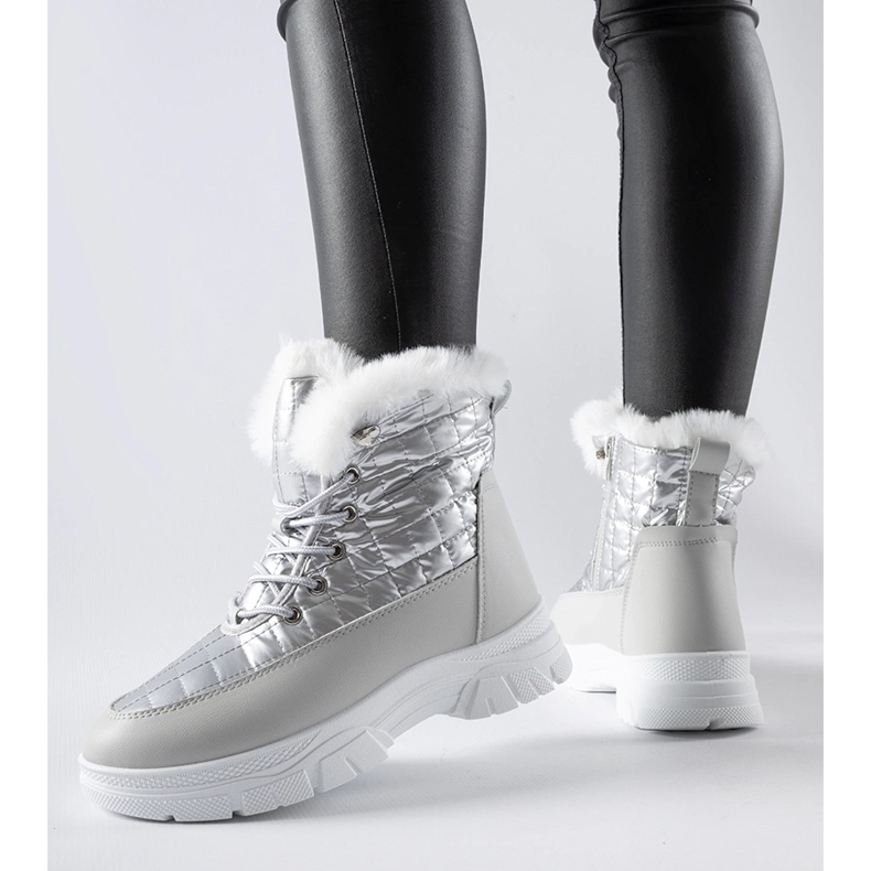 Bottes de neige isolées argentées sur la plateforme Dwayn 1