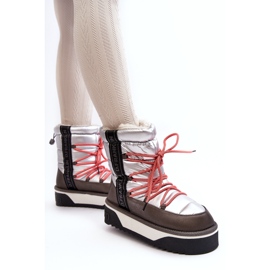 Bottes de neige pour femmes sur une semelle végétalienne épaisse D.Franklin DFSH371006 argent 1