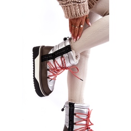 Bottes de neige pour femmes sur une semelle végétalienne épaisse D.Franklin DFSH371006 argent 2