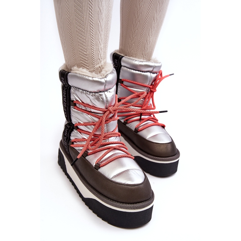 Bottes de neige pour femmes sur une semelle végétalienne épaisse D.Franklin DFSH371006 argent 4