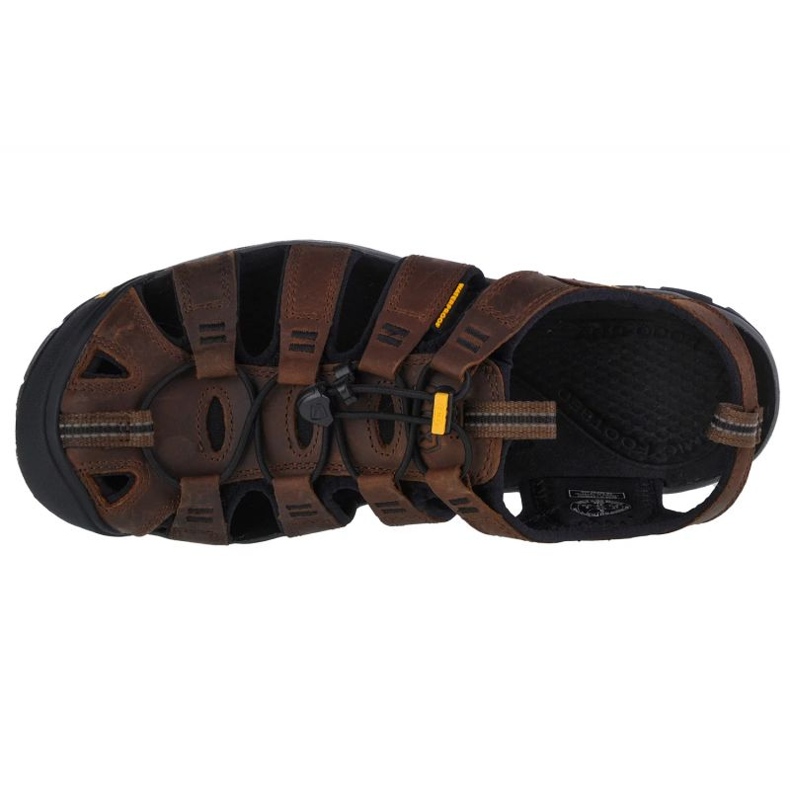 Keen Sandales Clearwater Cnx M 1013106 brun 2