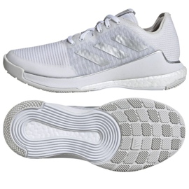 Chaussures de volley-ball Adidas Crazyflight W IG3970 blanche 1