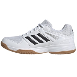 Chaussures de volley-ball Adidas Speedcourt M IE8032 blanche 1