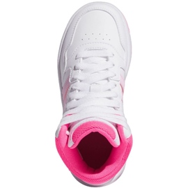 Chaussures Adidas Hoops Mid IF2722 blanche 1
