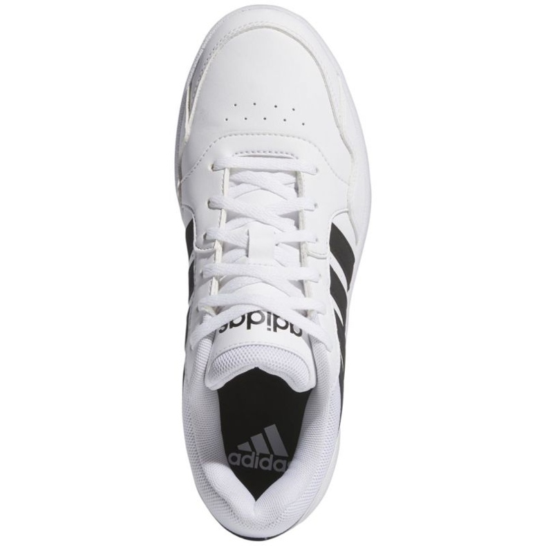 Chaussures Adidas Hoops 3.0 Bold IG6115 blanc 1