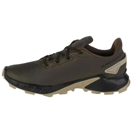 Chaussures de course Salomon Alphacross 4 Gtx M 471169 vert 1