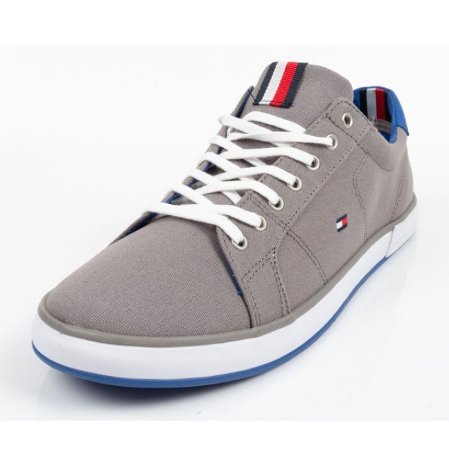 Baskets Tommy Hilfiger M FM0FM00596039 gris 1