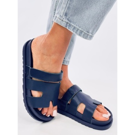 Chaussons Femme Bleu Fauve 2