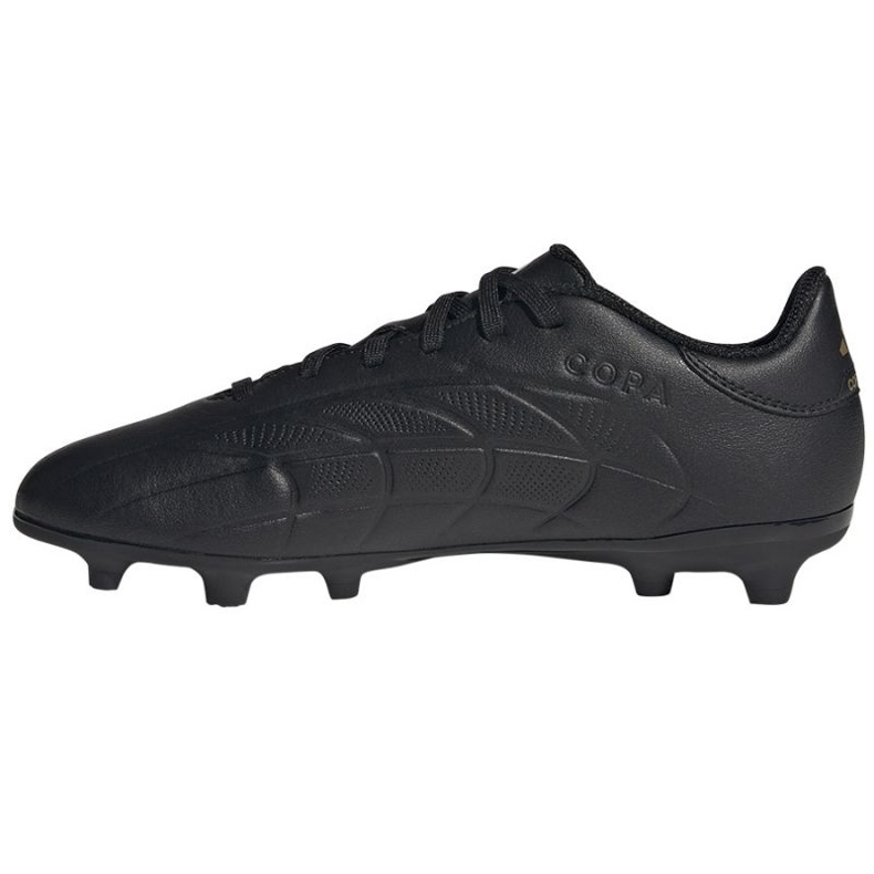 Chaussures Adidas Copa PURE.2 League Fg IG8732 le noir 1 Chaussures Adidas Copa PURE.2 League Fg IG8732 le noir 1