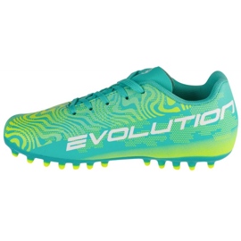 Acheter Joma Evolution 2415 Ag EVJW2415AG vert 1