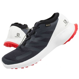 Chaussures Salomon Sense Flow 409672 Gtx gris 1