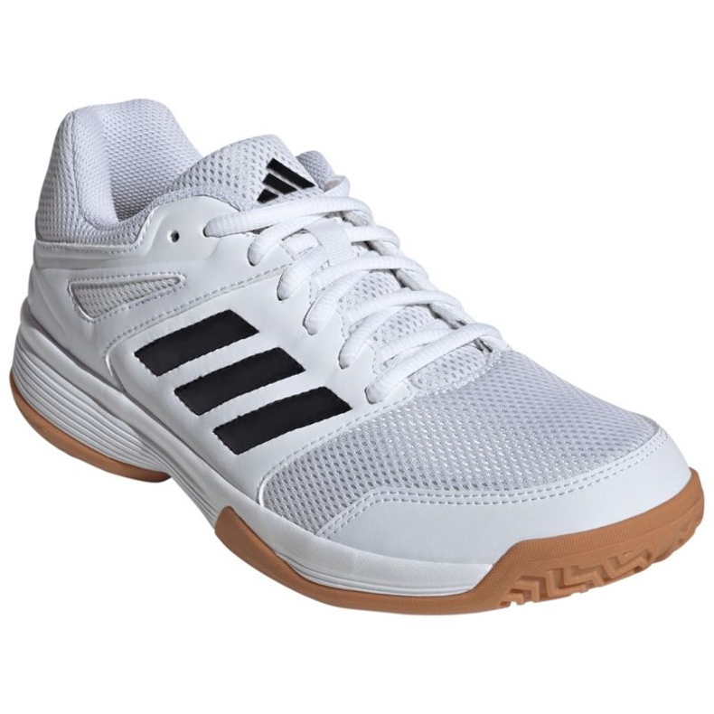 Chaussures de volley-ball Adidas Speedcourt In IH3159 blanc 1