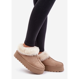 Bottes de neige à tige basse avec fourrure sur la plateforme Eco Suede Beige Foncé Neathoria 1