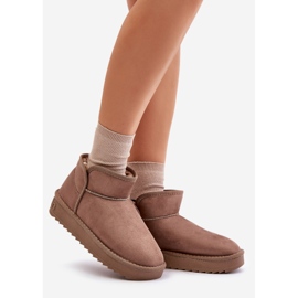 Bottes de neige à plateforme pour femmes D.Franklin DFSH370010 Taupe beige 1