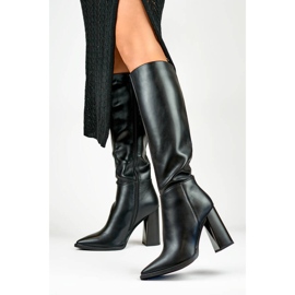 Bottines pointues à talons hauts pour femme, noires GD-FL3038B le noir 2