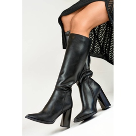Bottines pointues à talons hauts pour femme, noires GD-FL3038B le noir 1