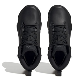 Chaussures Adidas Terrex Unity Lea Mid R.Rdy IF4977 le noir 2