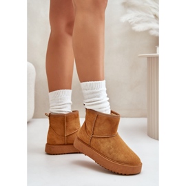 Bottes de neige Modèle 24BT26-7408 Camel brun 2