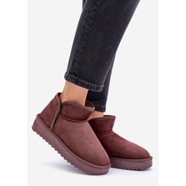 Bottes de neige à plateforme pour femmes D.Franklin DFSH370010 Chocolat brun 1