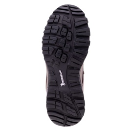 Chaussures Hi-Tec Altitude Vi I Wp Wo 92800382670 brun 3