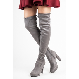 Vices Cuissardes en daim gris 1