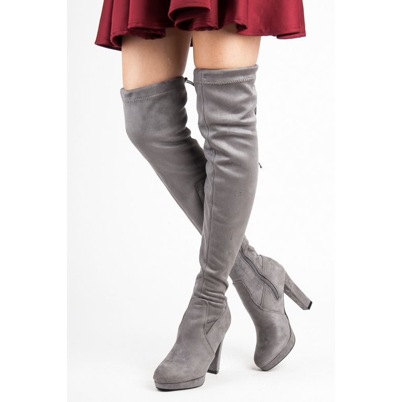 Vices Cuissardes en daim gris 1