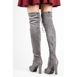 Vices Cuissardes en daim gris 2