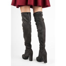 Vices Cuissardes en daim gris 2