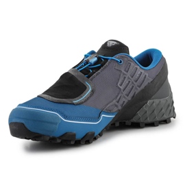 Chaussures de course Dynafit Feline Sl Gtx M 64056-7800 bleu 4