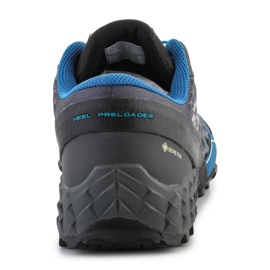 Chaussures de course Dynafit Feline Sl Gtx M 64056-7800 bleu 9