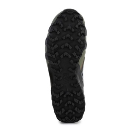 Chaussures de course Dynafit Feline Sl Gtx M 64056-7800 bleu 11