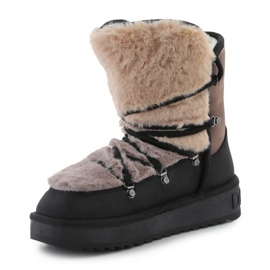 Chaussures D.Franklin Nordic Trk Fur DFSH370012 le noir 3