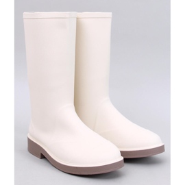 Bottes mates beige des femmes 1