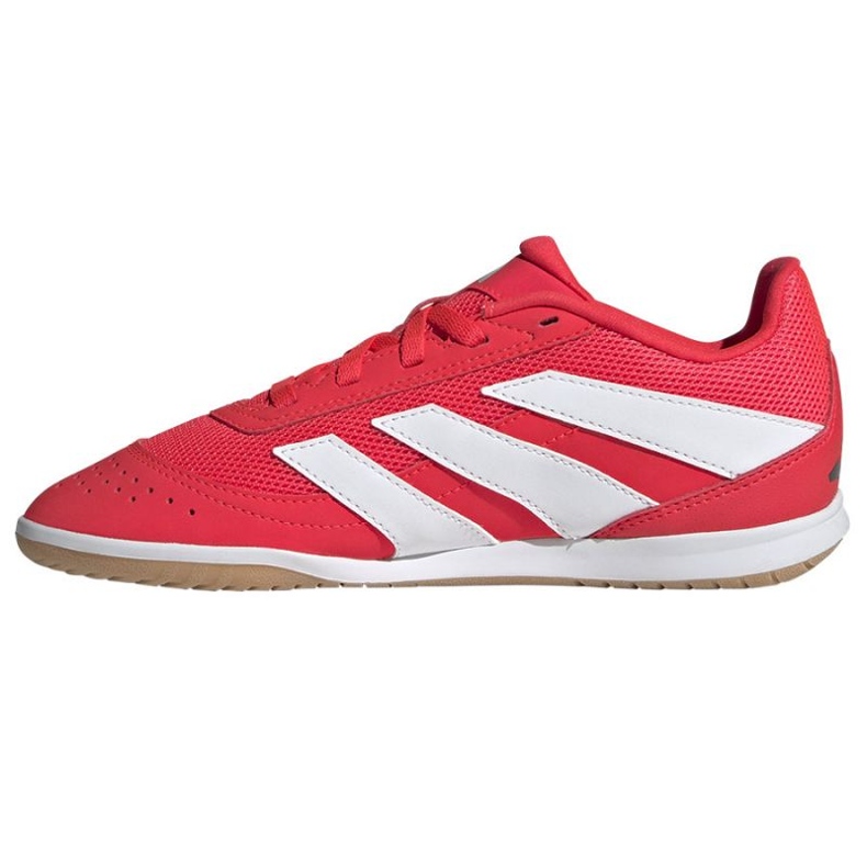 Sala Adidas Predator Club dans JR3126 Red Shoes rouge 1