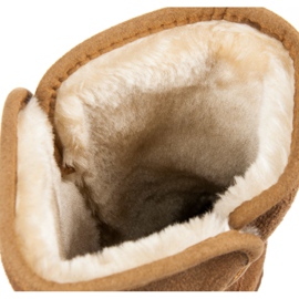 Coco Perla Mucilage élevé brun 1