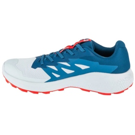 Salomon Alphaglide Ballad L47724300 Chaussures de course gris 1