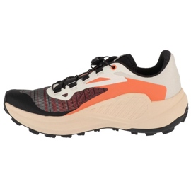 Salomon Genesis L47820400 Chaussures de course multicolore 1