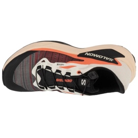 Salomon Genesis L47820400 Chaussures de course multicolore 2
