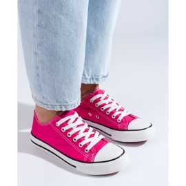 Baskets fuchsia rose 2