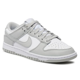 Chaussures Nike Dunk Low Retro DD1391-103 gris 1