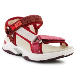 Sandales D.Franklin Sneakers Sandal Strips DFSH406003-Burg rouge 1