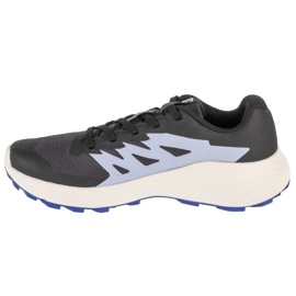 Salomon Alphaglide L47801800 Chaussures de course le noir 1
